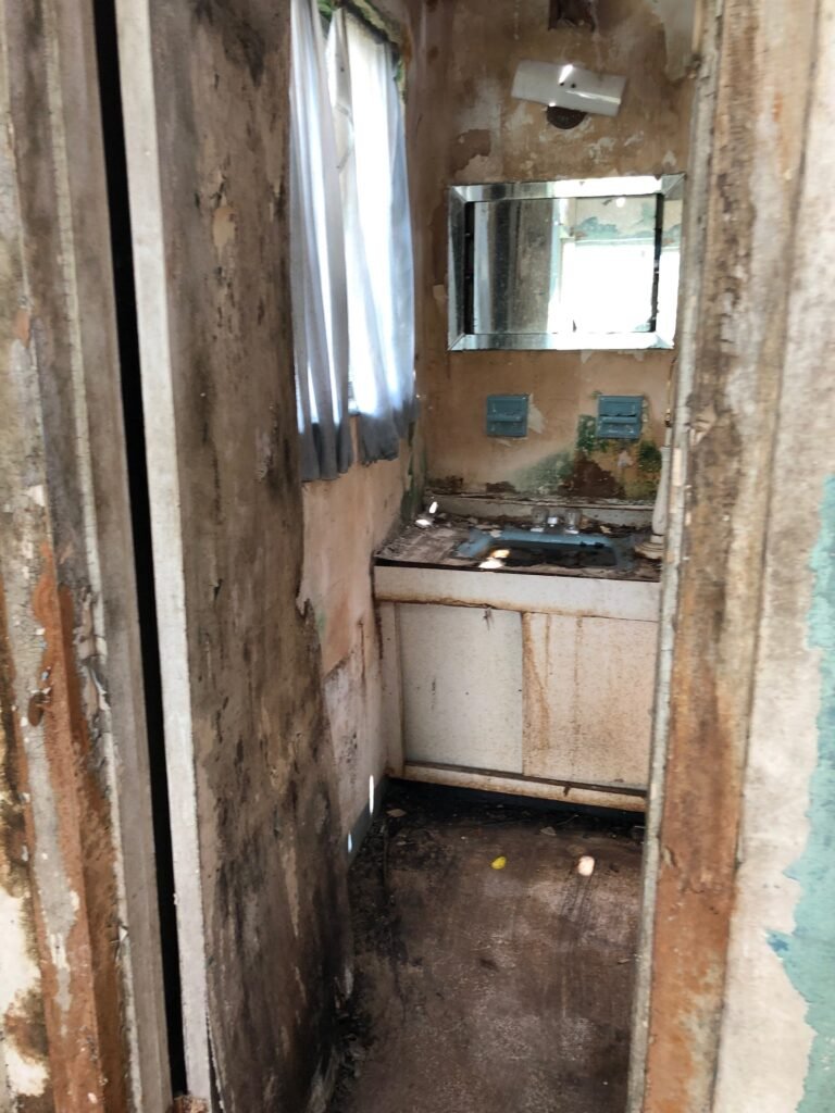 ugliest home flip chicago flat fee realtor