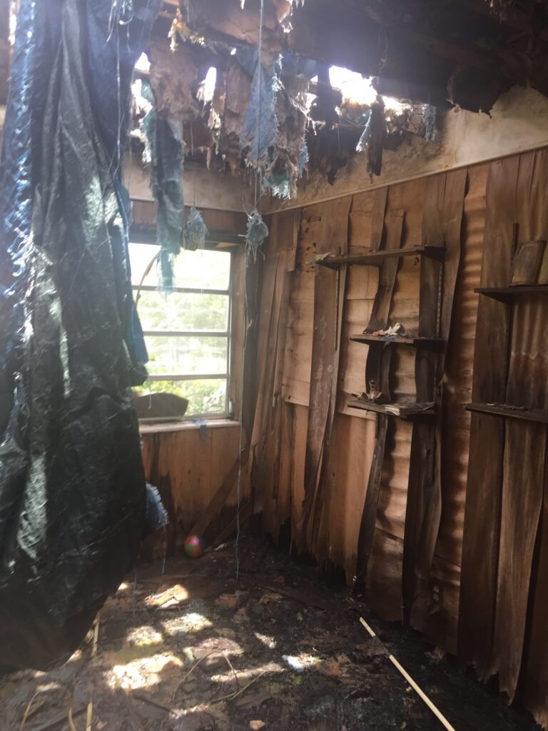 ugliest home flip chicago flat fee realtor