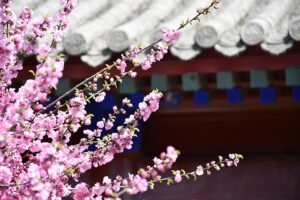 Read more about the article Spring 2026 Housing Market Outlook for NW Indiana & Chicagoland