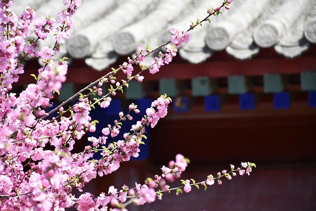 Spring 2026 Housing Market Outlook for NW Indiana & Chicagoland